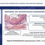 image-24-05-24-04-43-1