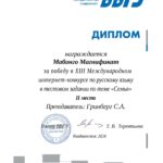 Диплом_Мабонго_тест