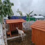IMG_20240605_110315