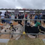 IMG_20240605_112057