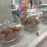 IMG_20240605_122340