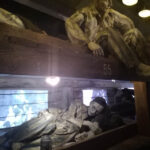 IMG_20240621_182550