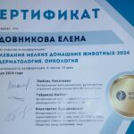 IMG-bdceef4e18767405437c4aba66fa0f6e-V