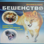 6IMG-2e12ef08be57b395fc771660195993f2-V