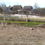 IMG_20250330_204023
