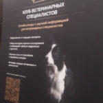 Научно-практическая Санкт-Петербургская ветеринарная конференция как фактор, способствующий повышению уровня профессиональных компетенций специалистов УО ВГАВМ