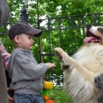 День детей в Витебске прошел с участием наших питомцев!