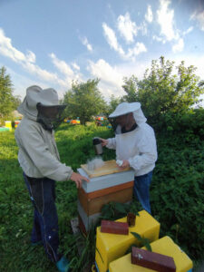 IMG-4d3002affe2b9a091bf91e93272cc7f1-V