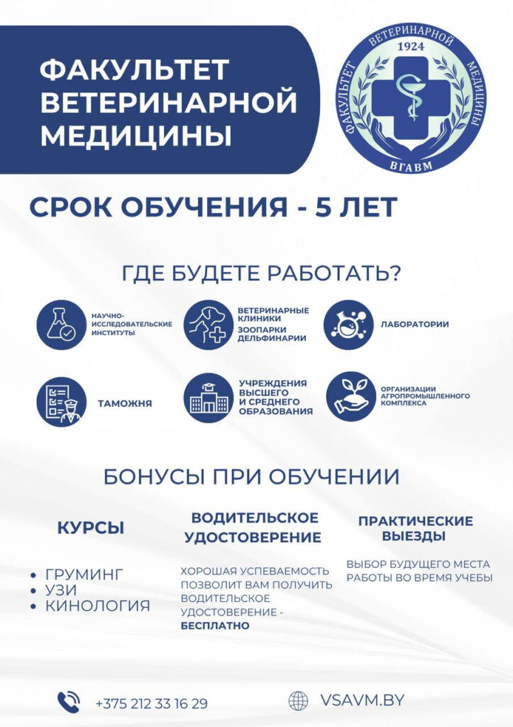 fvm-25
