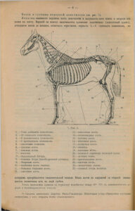 kol91