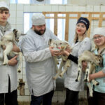 Выпускники Академии ветеринарной медицины — драйверы прогресса!