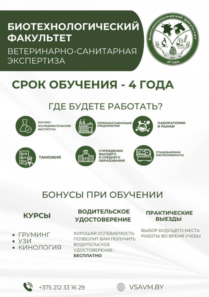 vse-25