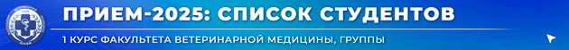 Banner-Spisok-studentov-1-kursa-FVM-po-gruppam-August-2025-ANIMATCIIa