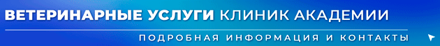 Banner-Veterinarnye-uslugi-clinik-akademii-Oktiabr-2025-ANIMATCIIa