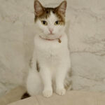 FullSizeRender_5