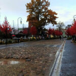 IMG-040727be66bfa53a10cd6c871d99f8cf-V
