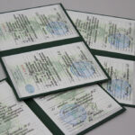 Выпускники-патологоанатомы: новый профессиональный уровень!