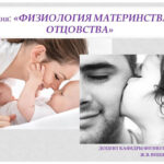 Физиология материнства  в центре внимания студенческой аудитории