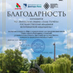 Благодарность академии от Фонда Алексея Талая за участие в акции