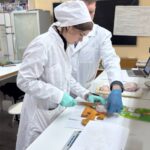 Отрабатываем профессиональные навыки