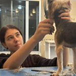 IMG_20251117_163013_146