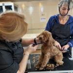 IMG_20251117_163023_557