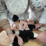 IMG-6cb25389249e555c8a9a2c6e362d7815-V