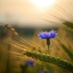 Ласкавае, цёплае, шчырае… роднае СЛОВА