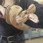 2026-03-20 09-02-41 (1)