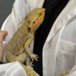 2026-03-20 09-02-41 (3)