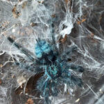 2026-03-20 09-02-41 (4)