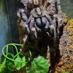 2026-03-20 09-02-41 (5)