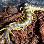 2026-03-20 09-02-42 (2)