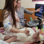 Учиться нужно всегда!