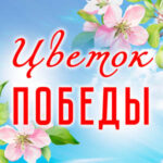 Хранительницы истории: как создавались  цветы, которые не вянут