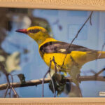 IMG-044724a858ec049dff198407b1308784-V