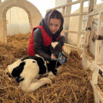 IMG-36f71bfc1ac6a9cbdbb5b22a40d0f85e-V