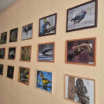 Мир птиц: к Международному дню птиц на кафедре зоологии