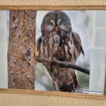 IMG-c1c94e6538db3c0ddf287fcd9371c956-V