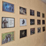IMG-cd804425a28f8f8e3220406d2eed948b-V