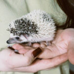 IMG_20260317_143742_423_edit_1085175245906295