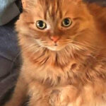 IMG_20260317_143915_478_edit_1086634283115947