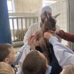 Занимательная терапия