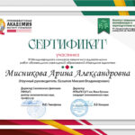 Misnikova Arina Alexanderovna kopiia