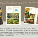 цитата - 4