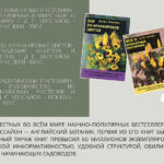 цитата - 5