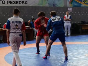 IMG-77c8a3ec1b4db7ec7cec6e3742919feb-V