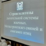 Лекция в колледже ВГАВМ 2026. Реализация совместных образовательных мероприятий