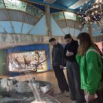 IMG_20260930_170328