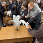 IMG_5736